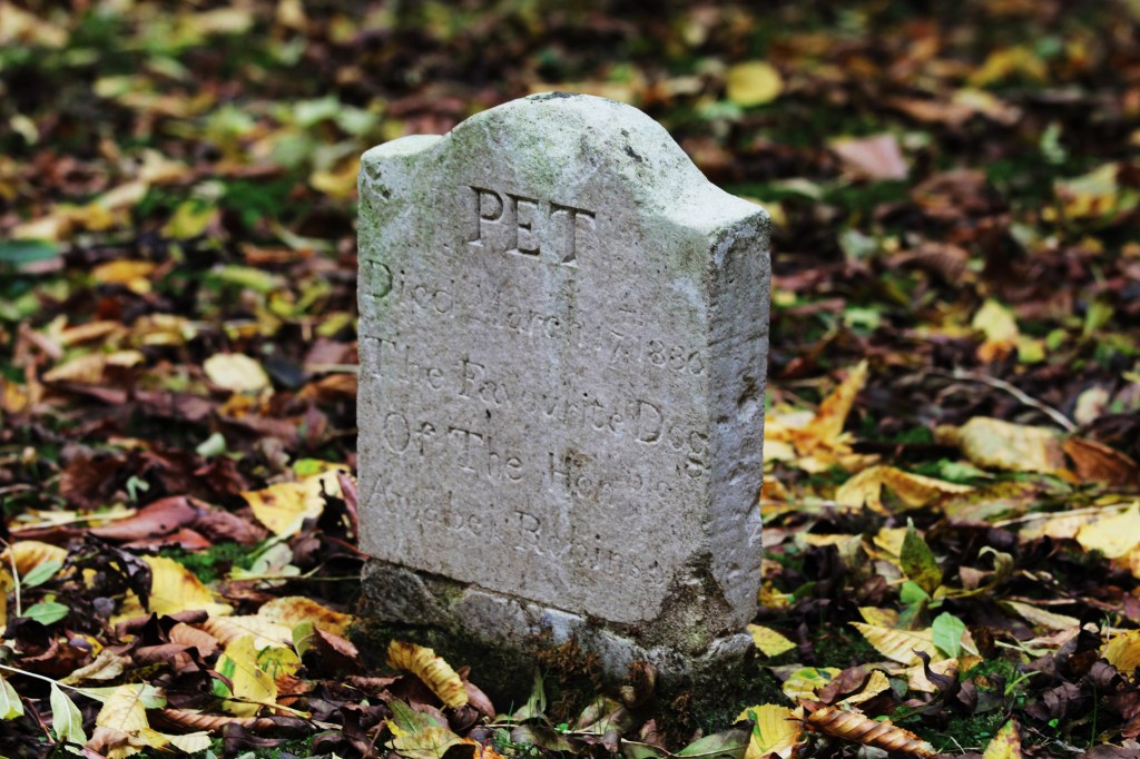 You don’t eat meat?