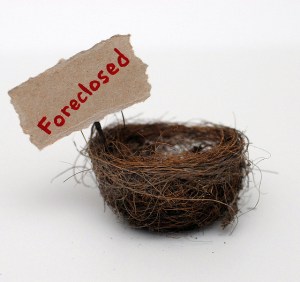 3172219438_a17f572489_z