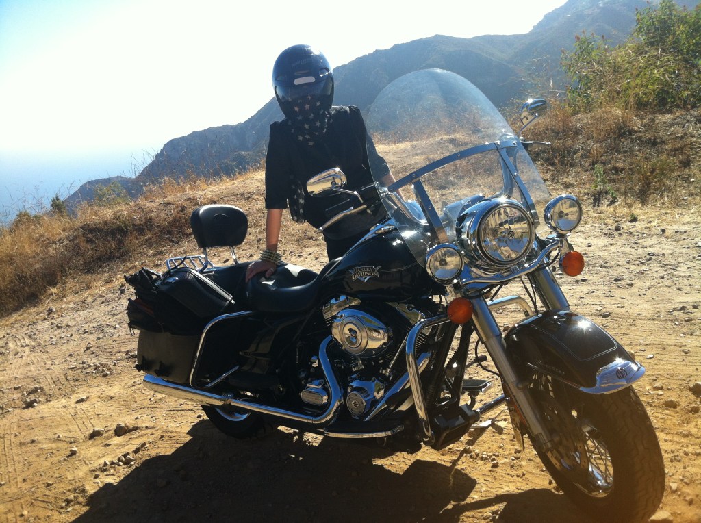 Influence and Harley Davidson