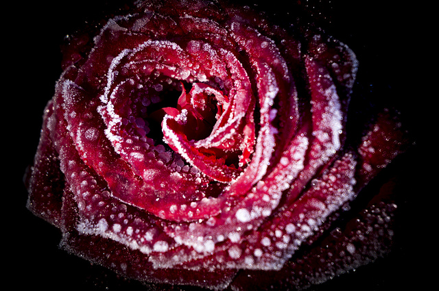 11407677654_8d8f79f7e4_z